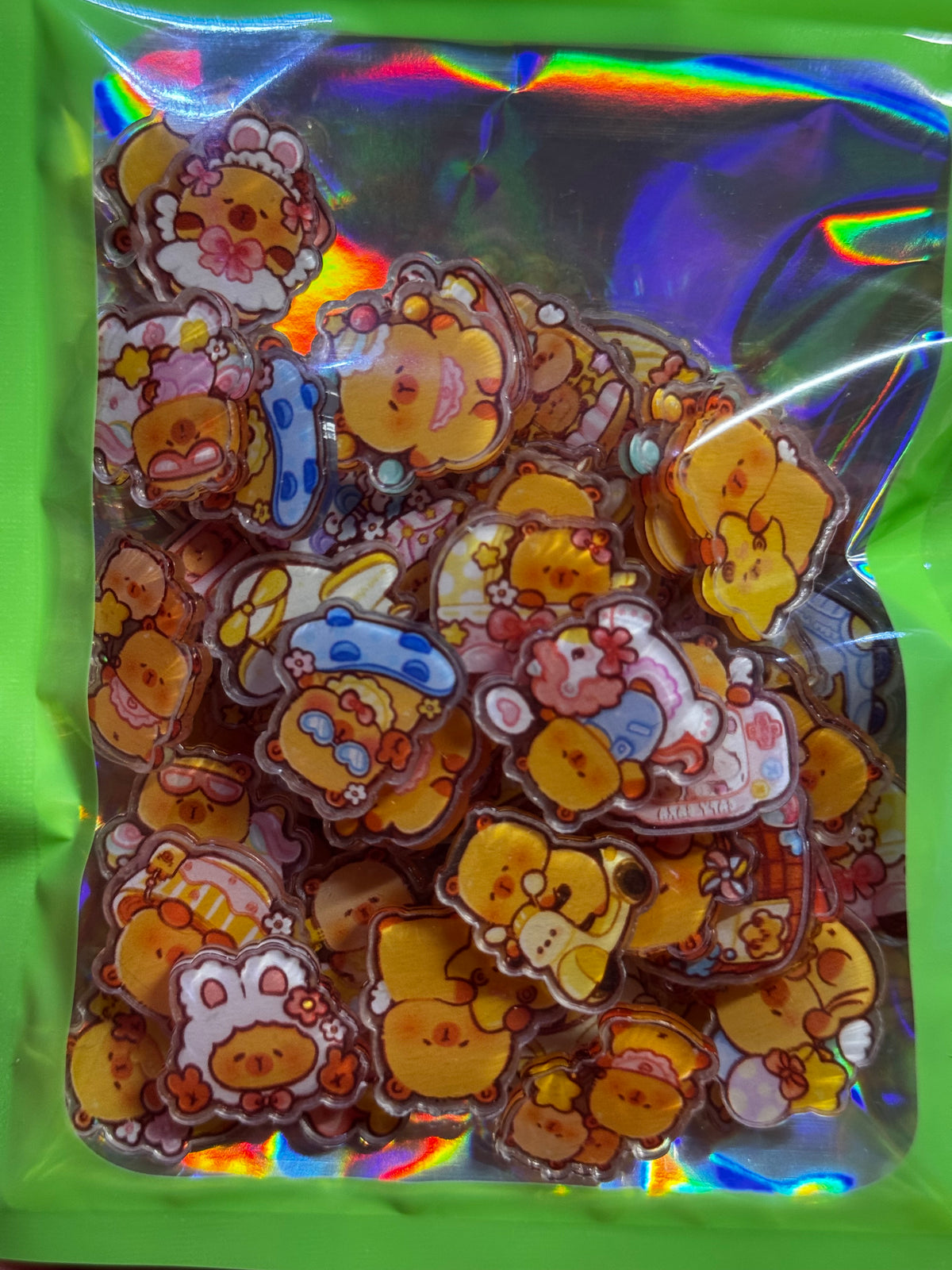 Capybara Cuties Mini Flat-back Acrylics