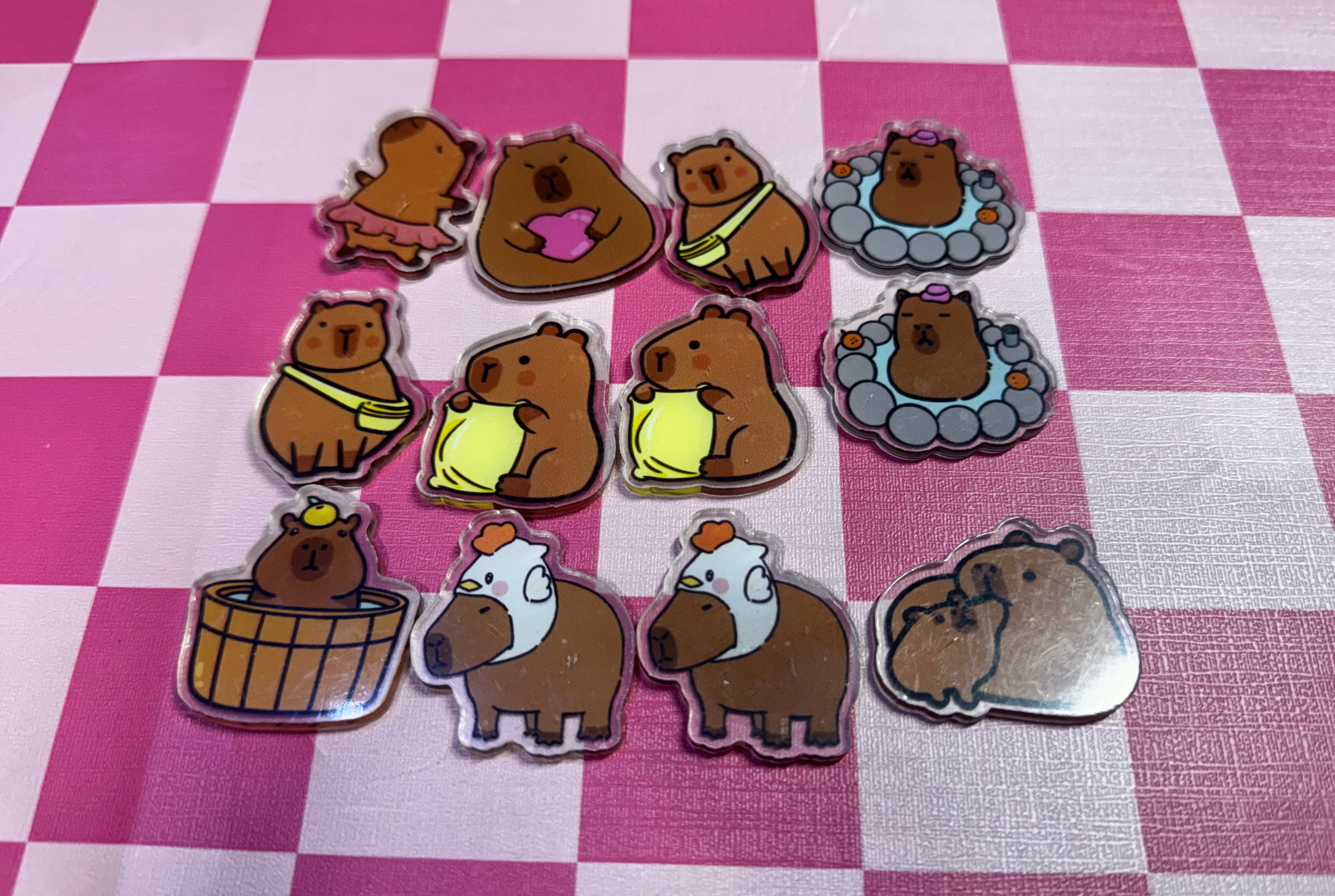 Capybara Flat-back Acrylics